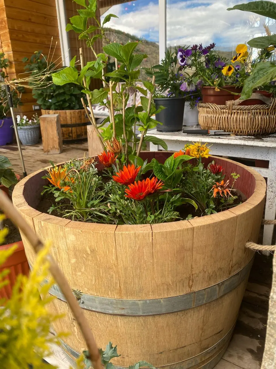 Macetero circular de barrica con flores rojas