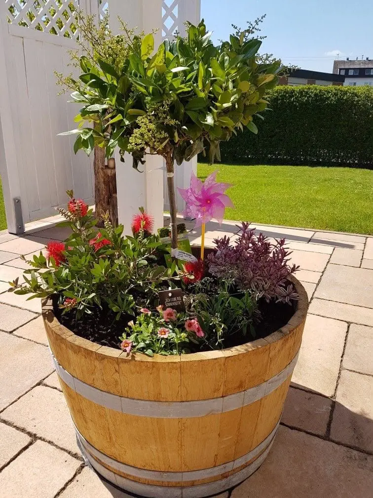 Macetero de barrica con flores en una terraza