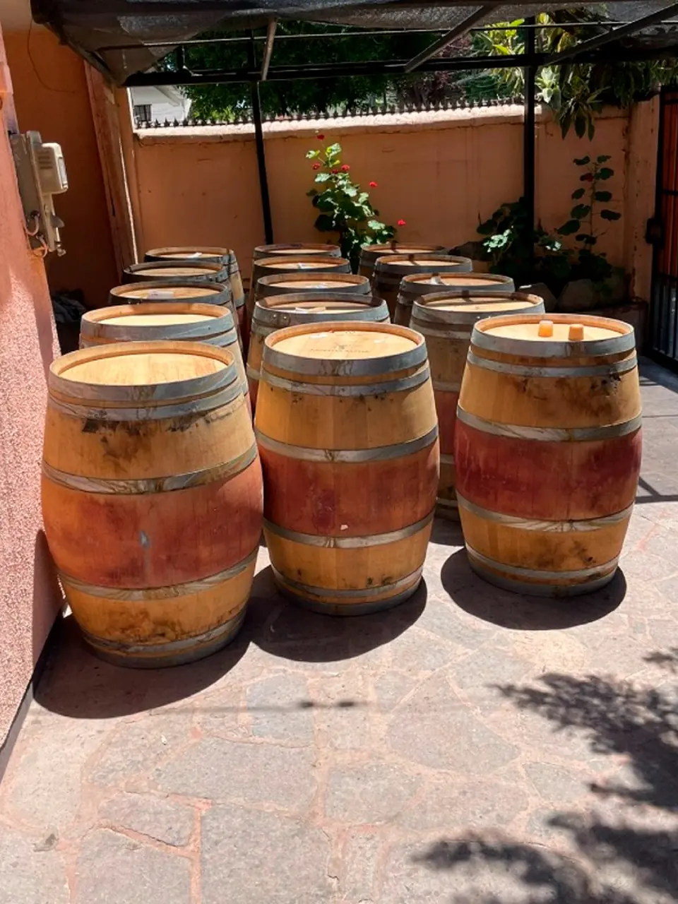 Barricas completas seleccionadas antes de su transformación